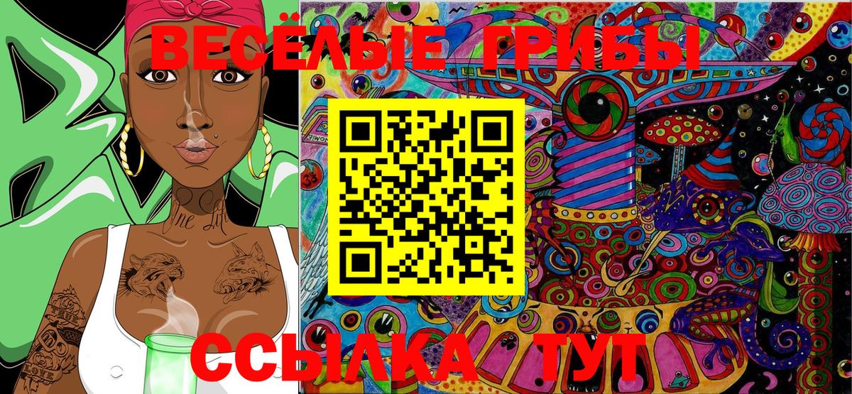 Галлюциногенные грибы Psilocybe  Вход с VPN  Большой Камень 
