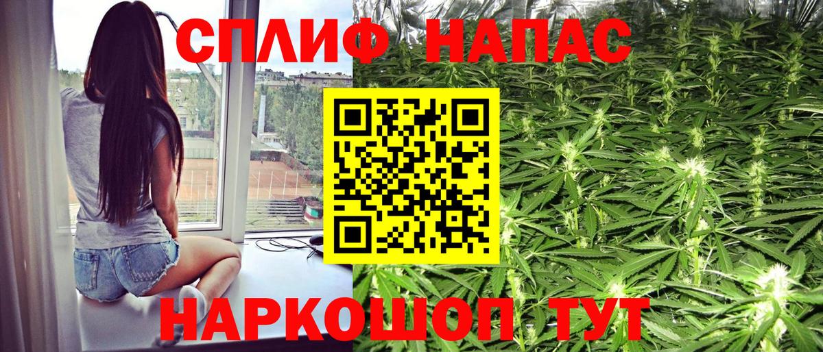 Бошки Шишки план  Конопля тримм  Большой Камень  Вход с VPN 